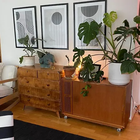 Arctic Globeflower - Unique In A Area *