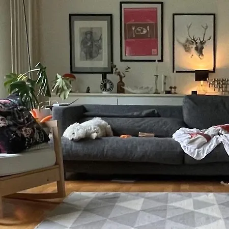 Apartamento Arctic Globeflower - Unique In A Area