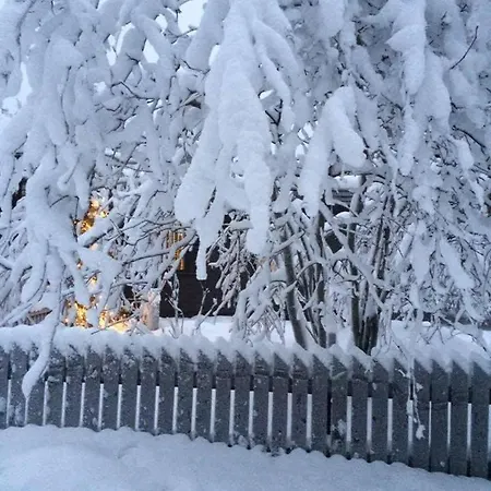 Arctic Globeflower - Unique In A Area Apartamento Rovaniemi