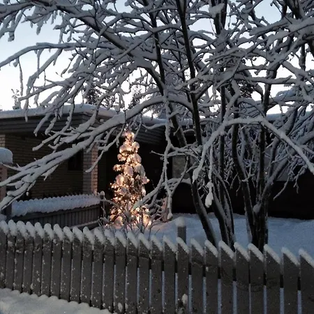 Arctic Globeflower - Unique In A Area