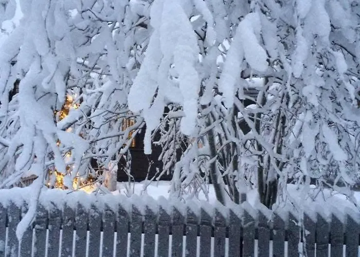 Arctic Globeflower - Unique In A Area Lägenhet Rovaniemi